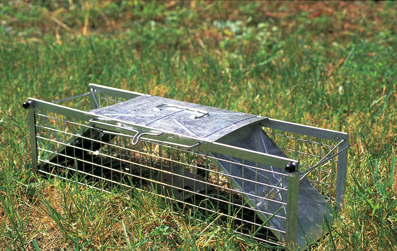 HAVAHART, Squirrels, Live Animal Trap - 3KJG2|1025 - Grainger