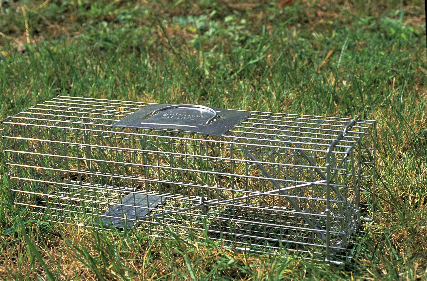 HAVAHART, Large Squirrels/Rabbits/Skunks, Live Animal Trap 3KJG81078