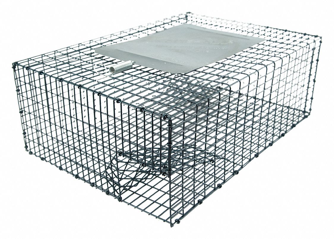 Animal Trap 7 in H 13 in W Green