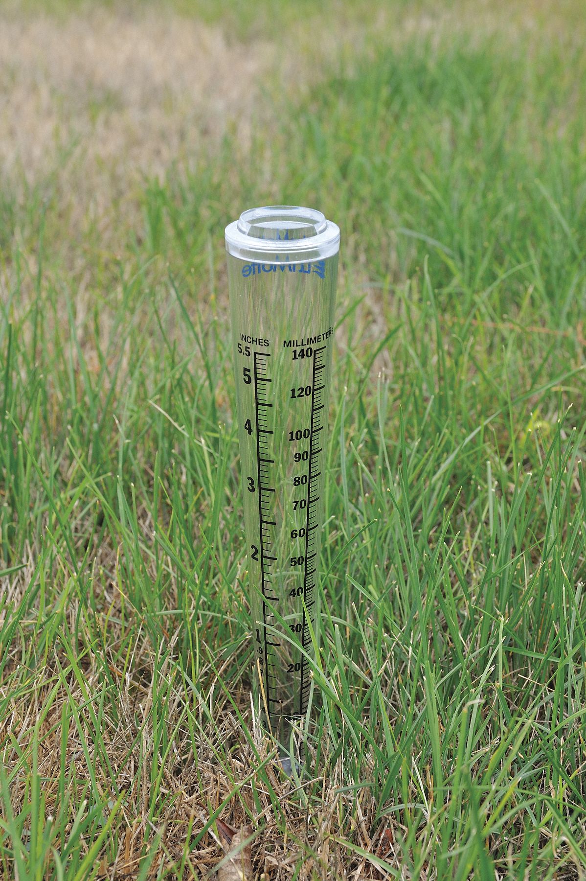 LAMOTTE Rain Gauge Rain Gauge Only, 5.5 in Max. Rain, PostMount, 6 in