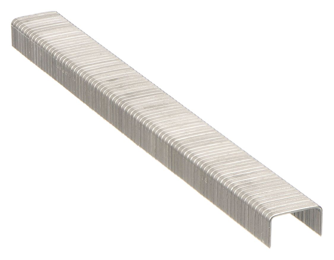 Heavy Duty Staple Stainless Steel
