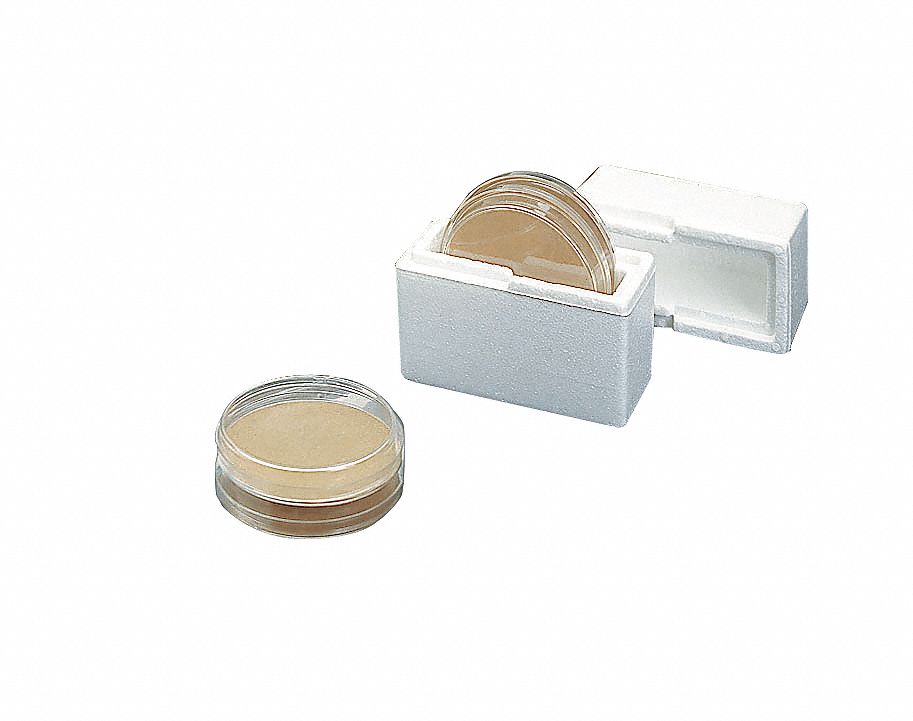 Petri Dish Mailer 7 1/2in H 127mm L PK96