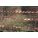 Primary Product Image
