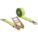 Primary Product Image