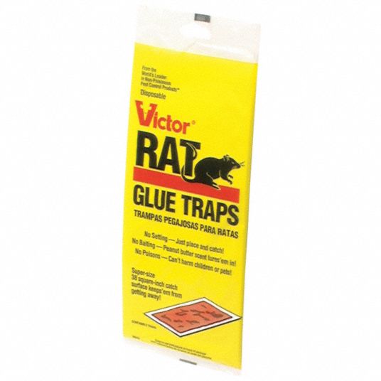VICTOR, 5 in Overall Wd, 2, Rat Glue Trap - 3LMN4|M349 - Grainger