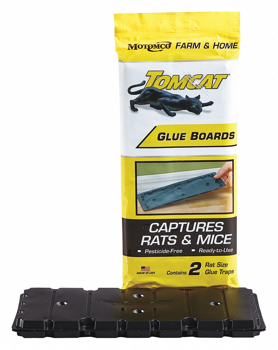 Glue Trap: Glue Trap, Disposable, Trapping Rats, Bait Box Trap, 9 3/4 in Overall Lg, 2 PK