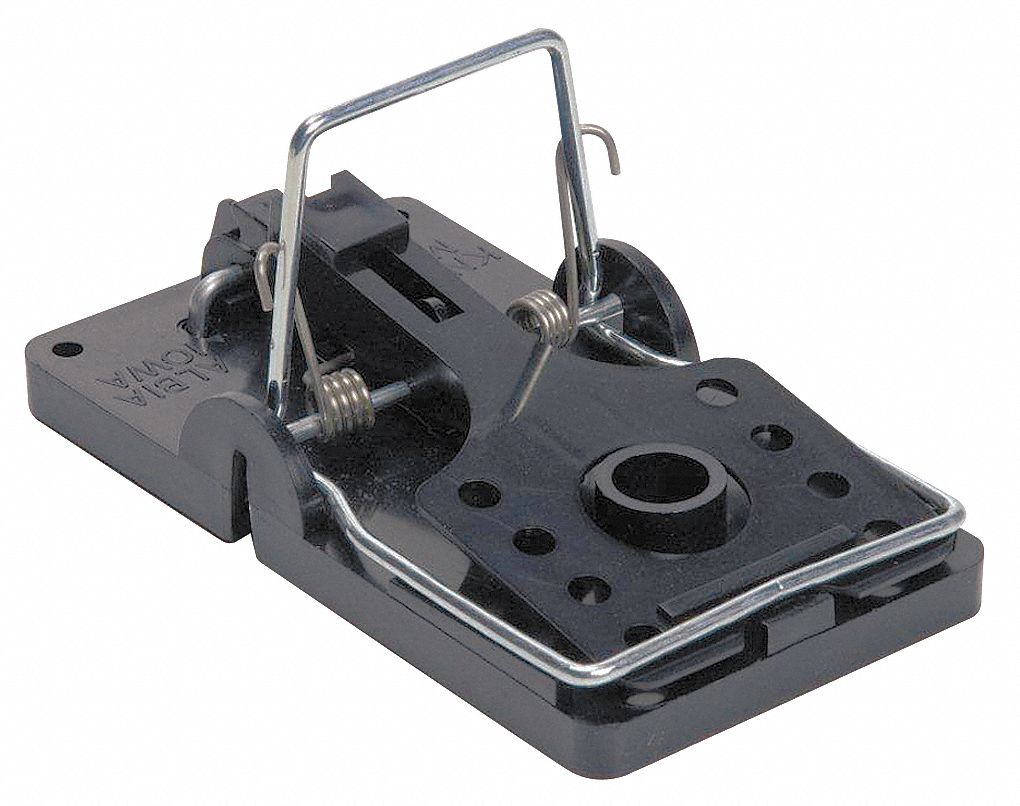Rat Trap: Indoor and Outdoor, Snap Trap, 5 1/2 in Overall Lg, 3 in Overall Wd