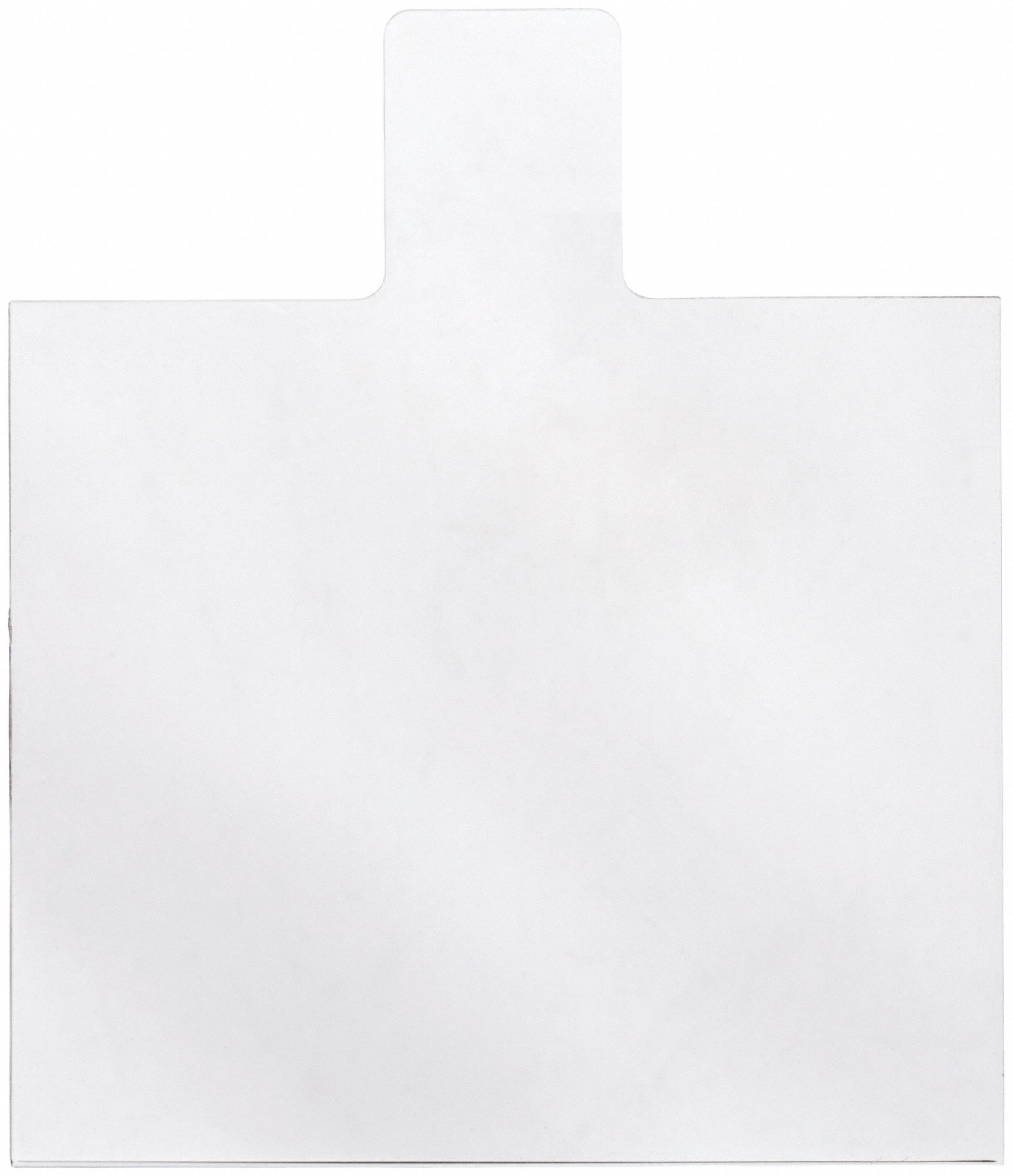 Replacement Internal Lens: