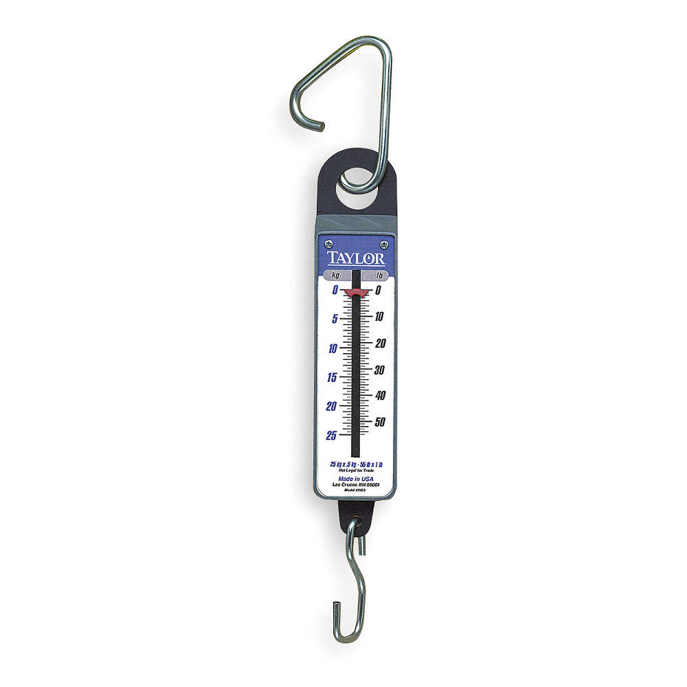 TAYLOR SCALE MECH HANGING 70LB CAP - Hanging Scales - WWG3NZH5
