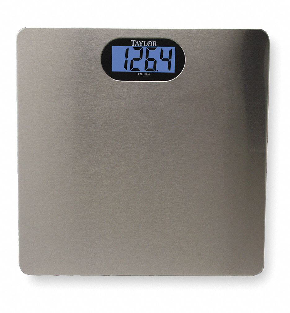 Taylor Lithium Digital Scale