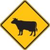 Cattle Crossing Signs