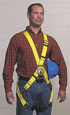 Chest Harness Men -  Canada