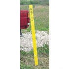BLANK WARNING STAKE, POLYESTER, 66 X 3¾ IN, POINT POST END, BLUE