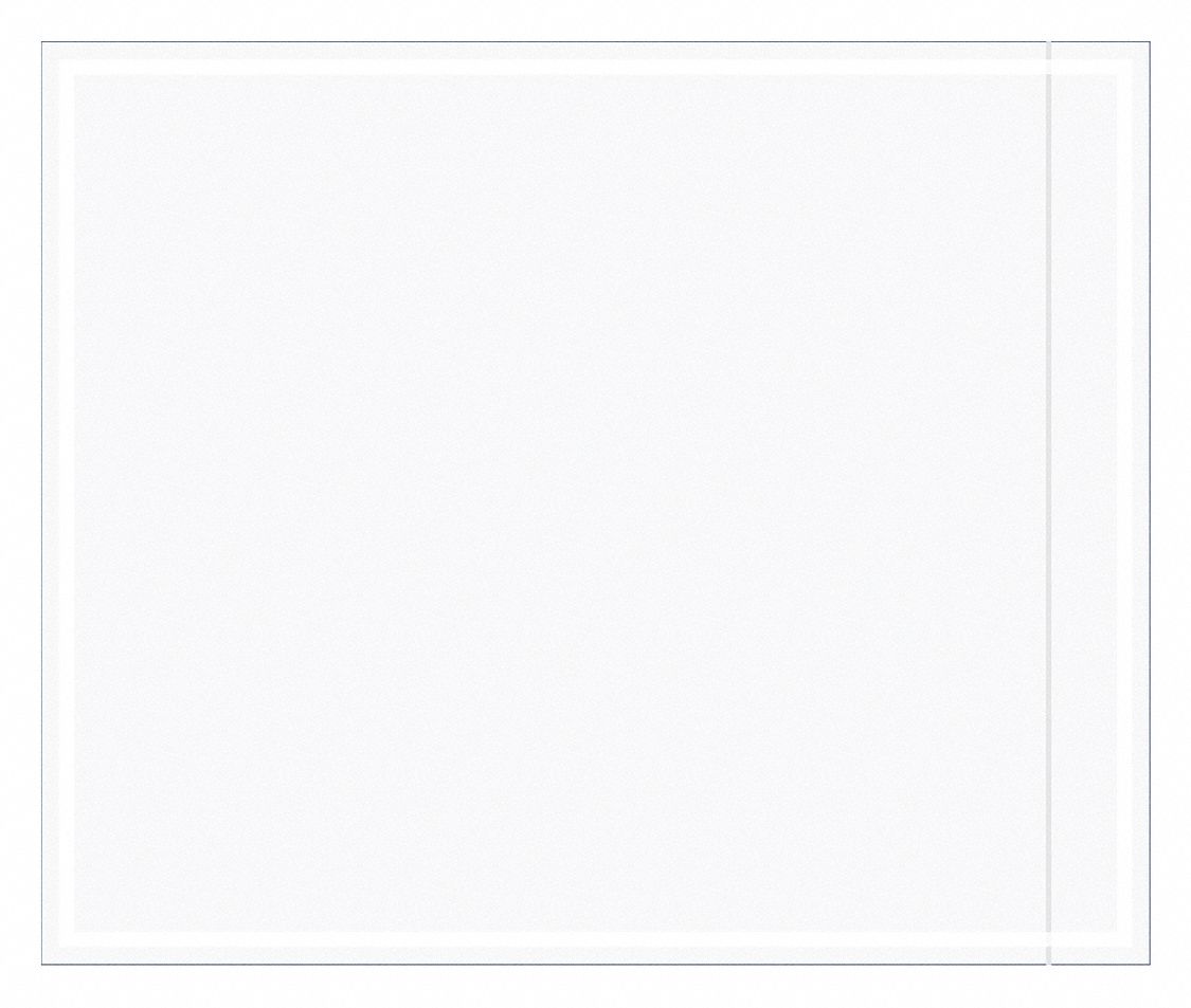 Packing List Envelopes,  Clear,  PK500