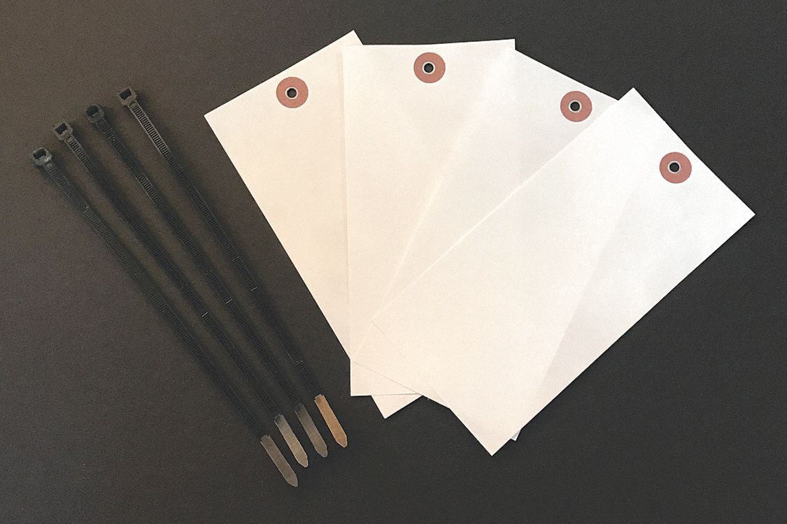 Shipping Tag: #4, 4 in Tag Ht, 2 in Tag Wd, White, Tyvek, Plain Tag, 100, PK