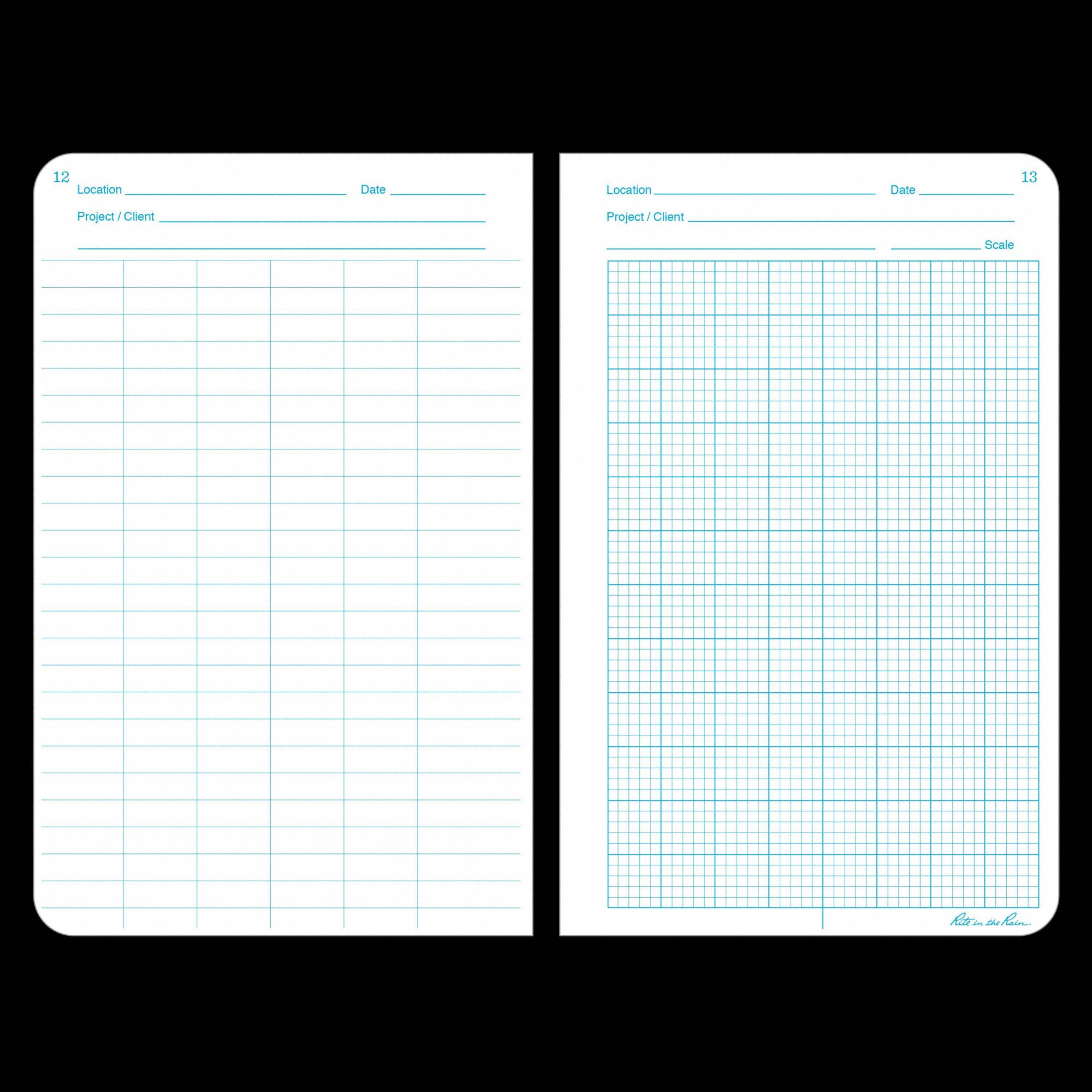 RITE IN THE RAIN All Weather Notebook: Geological, 4-3/4 in x 7-1/2 in ...