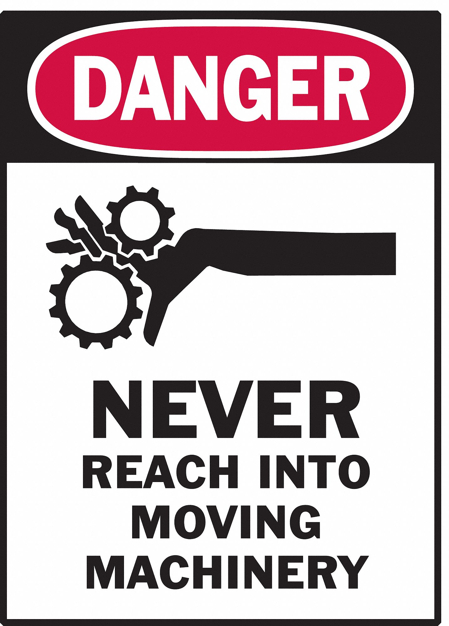 Label, 5 in x 3 1/2 in, Polyester, PK5