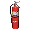AMEREX Dry Chemical Fire Extinguishers image