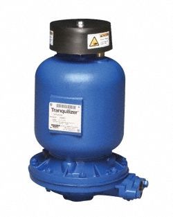 Tranquilizer: Auto Dampener, Stainless Steel, Buna-N, 1 in NPT Inlet, 1 in NPT Discharge