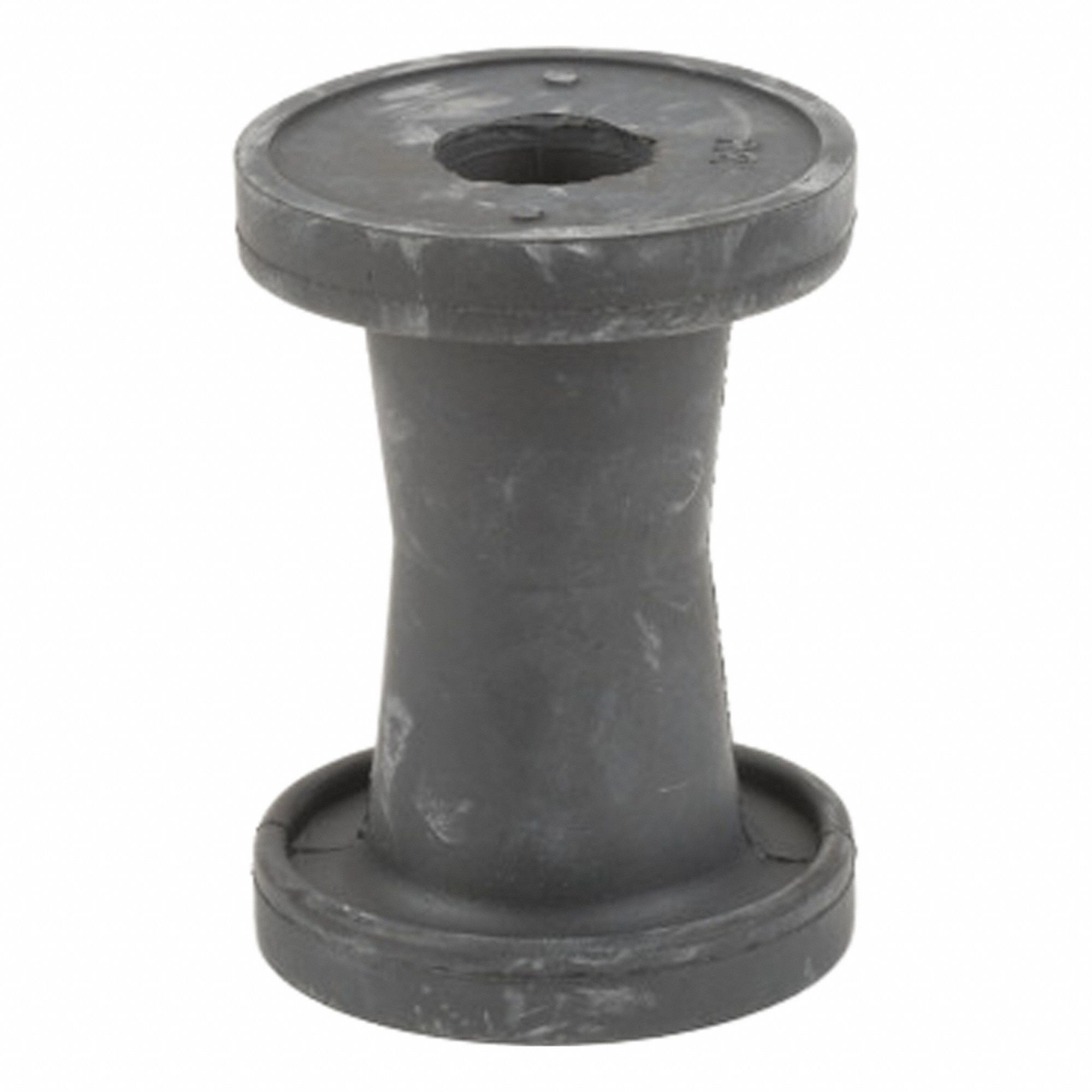 Bladder