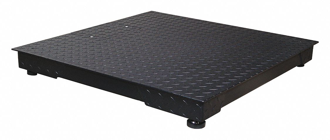 Floor Platform Scale: 10,000 lb Wt Capacity, 60 in Weighing Surface Dp, kg/lb, 2 lb