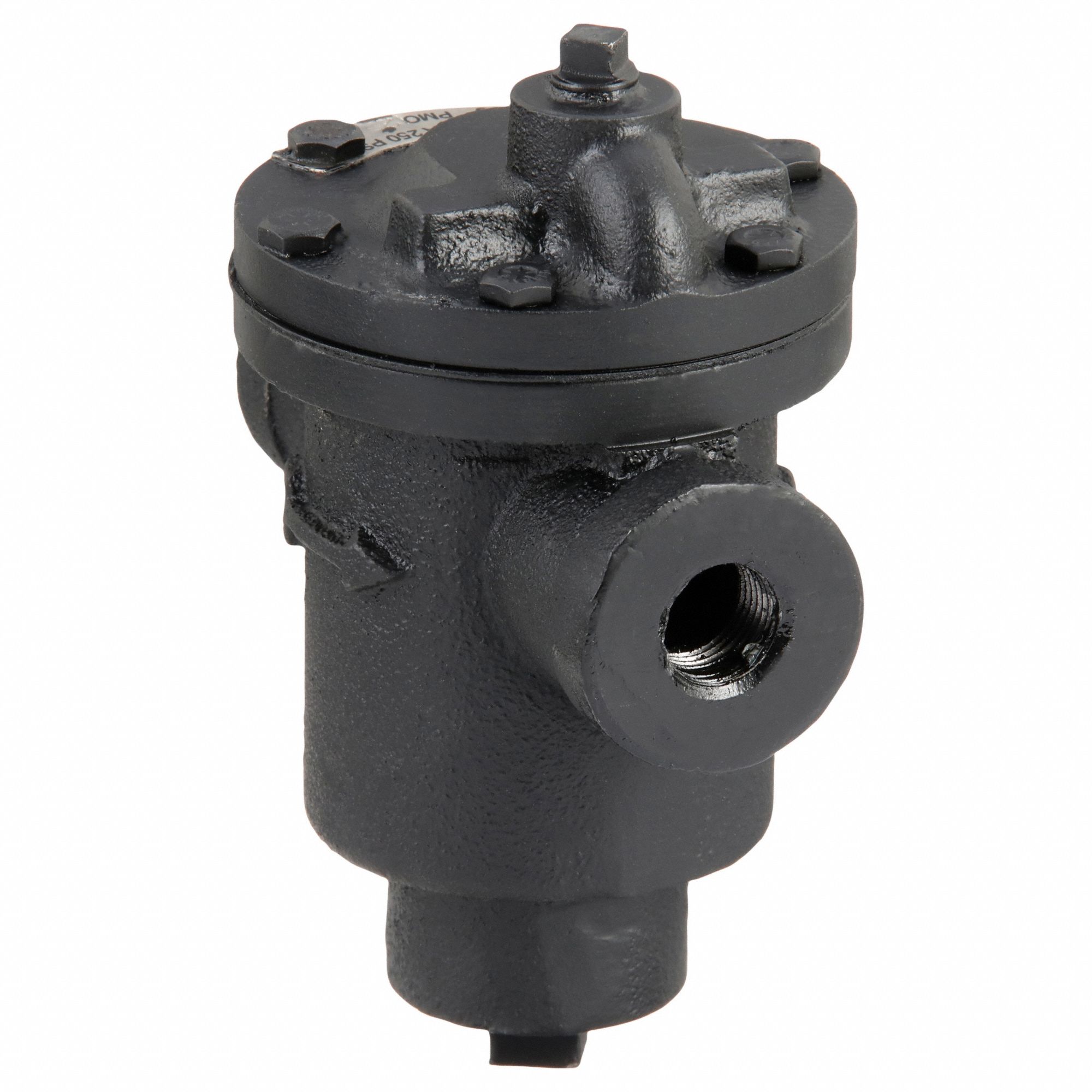 Steam Trap: Cast Iron, 1/2 in FNPT, 685 lb/hr, 125 psi Max., 450°F Max., Strainer Not Included