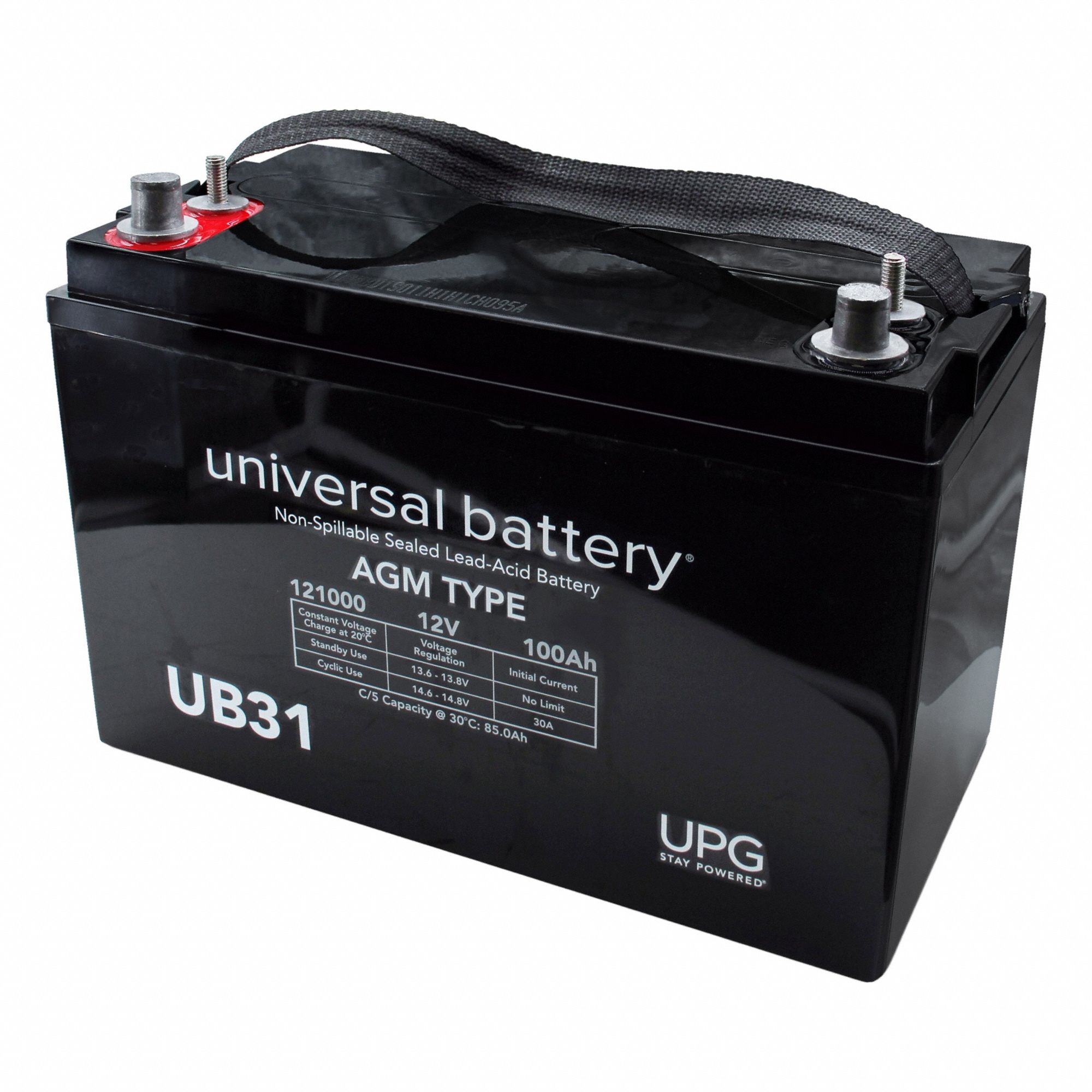 12V 100Ah Dual Post Group 31 Battery
