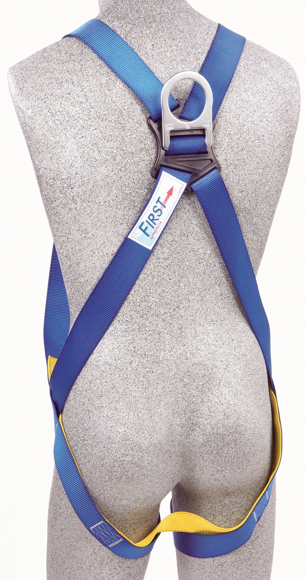 3M PROTECTA Full Body Harness, 310 lb, Blue 3XL 40D295AB175103XL