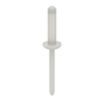 13/64" Blind Rivet image