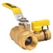 Brass 3-Way Ball Valves with Drain, 2-Piece Valve Structure image