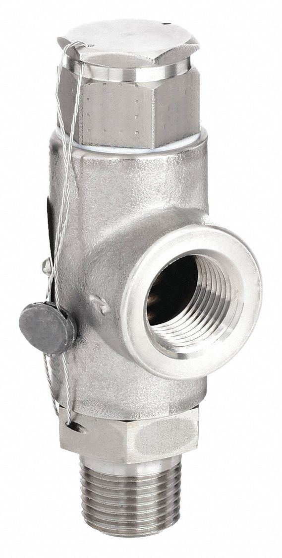 Safety Relief Valve: FNPT x MNPT, 1/2 in x 1/2 in, Stainless Steel, -60°F to 406°F