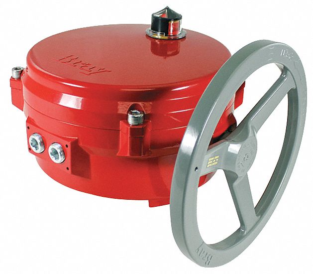 Actuator,120V,8",2 Position: Fits BRAY Brand