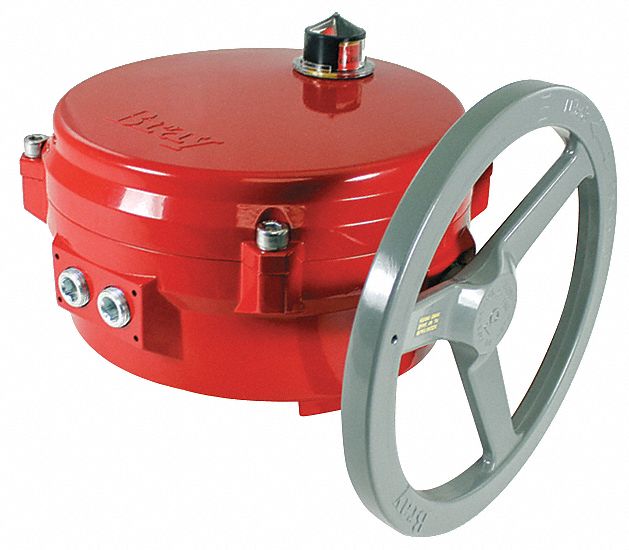 BRAY Actuator,120V,8",2 Position, Fits Brand BRAY - 40LV99|70-0201