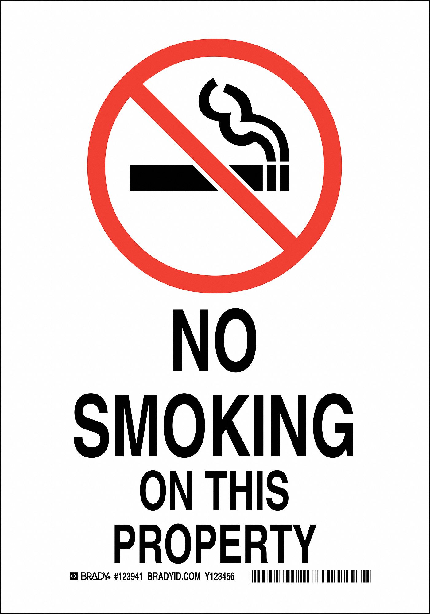 No Smoking Sign, 14 x 10In, Red/White
