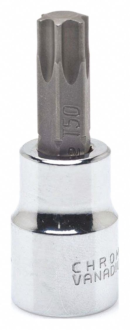 Drive TORX Bit Socket, 3/8in, T-40