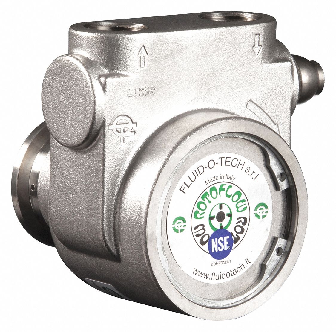 FLUIDOTECH, Stainless Steel, 165 gph Max. Flow Rate, Rotary Vane Pump