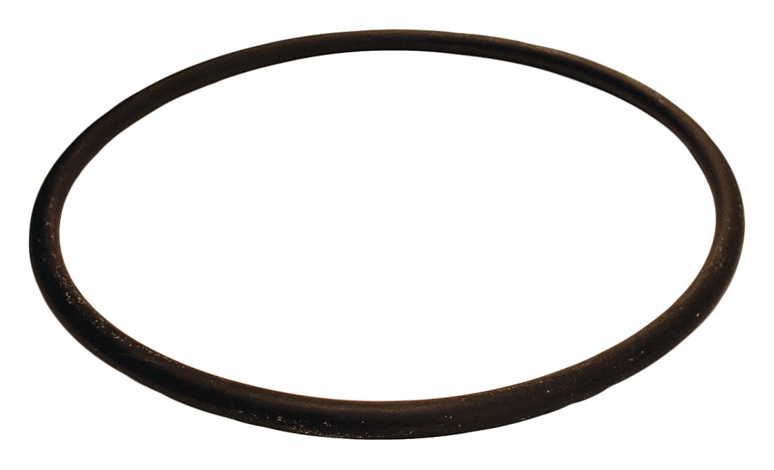 Trap Cover O-Ring: Fits Flotec Brand, For 29AU43, For FPT20515