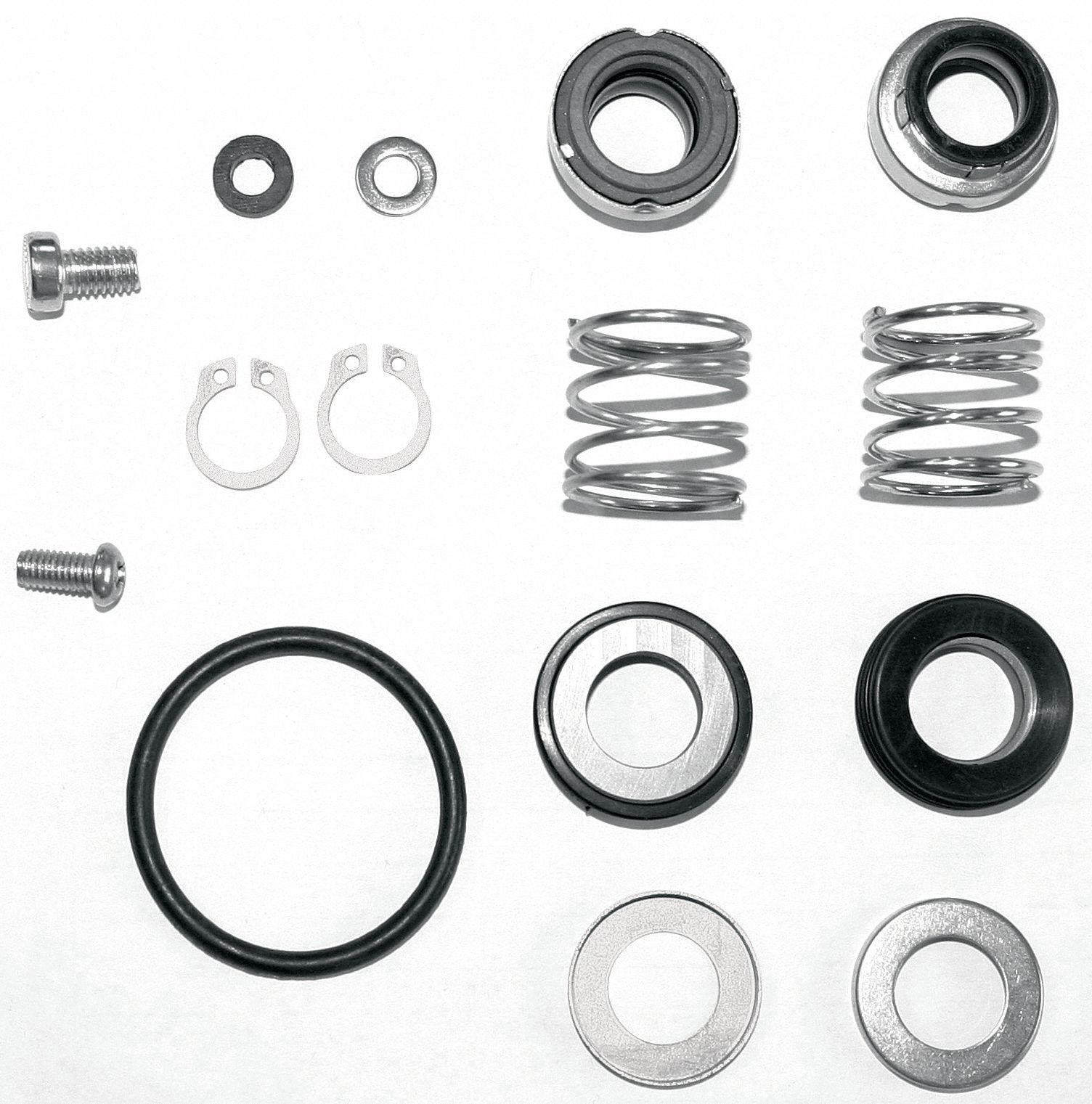 Shaft Seal Kit: Mfr Part # 42X495