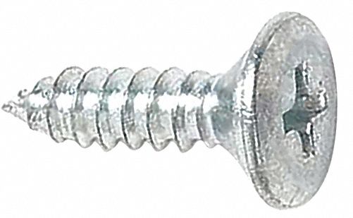 Recessed Screw