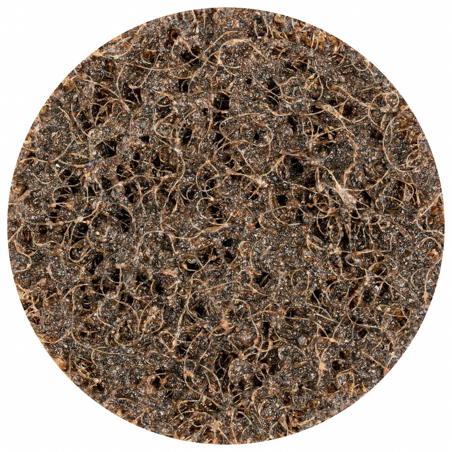 Quick Change Disc, 2 in., AO, Brown