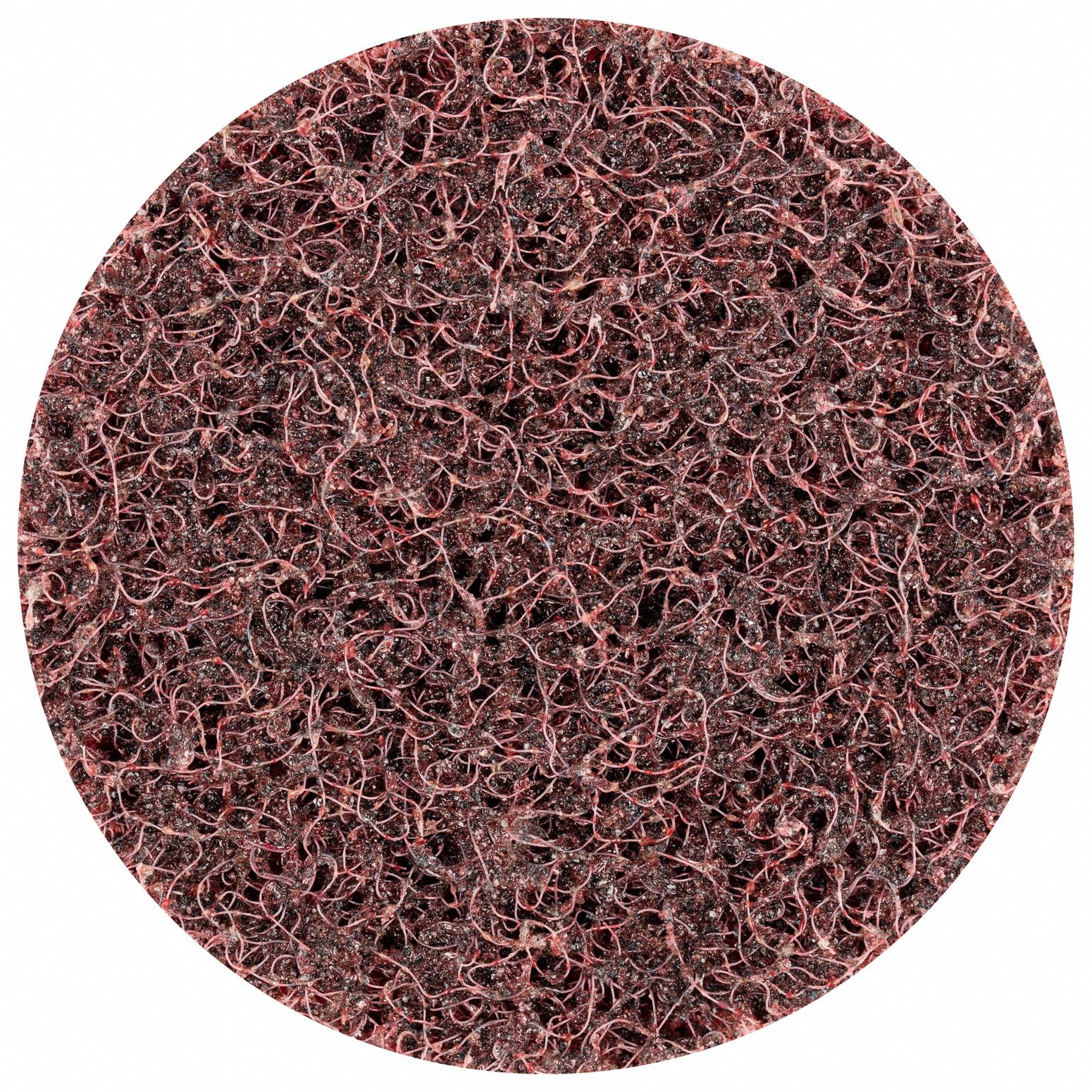 Quick Change Disc, 2 in., AO, Red