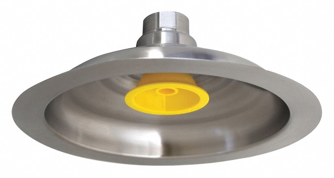 Showerhead 10 Stainless Steel