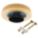 Primary Product Image