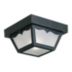 Traditional Low-Profile Canopy Lights