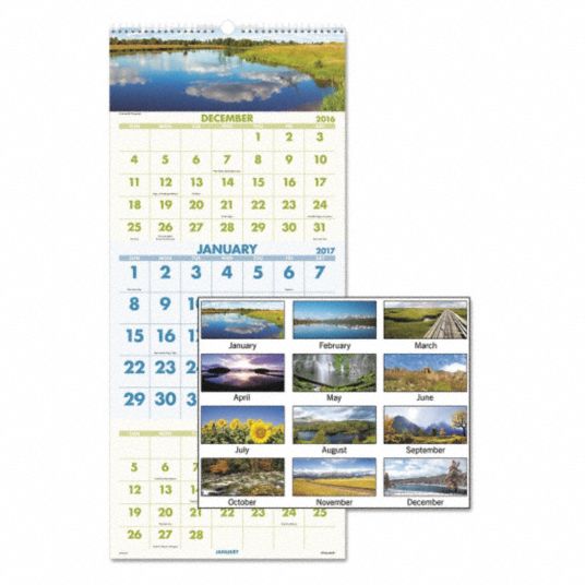 AT-A-GLANCE, Wall Calendar,3 Month,Scenic - 44NR39|DMW503-28 - Grainger