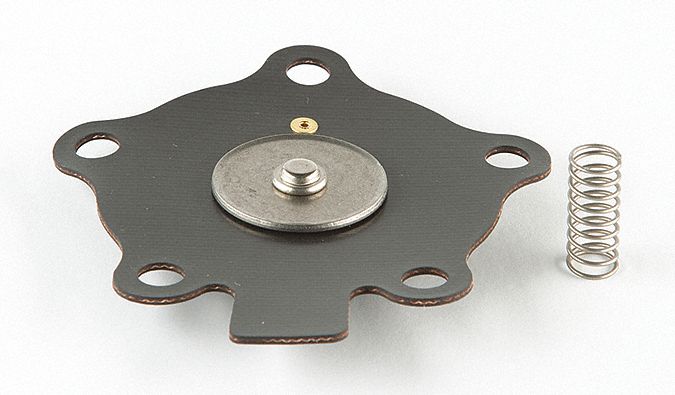 Valve Rebuild Kit: Diaphragm/Disc Assembly and Compression Spring