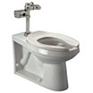 Floor-Mount Tankless Toilet Kits with Flush Valve & Top Spud, Back Outlet Bowl