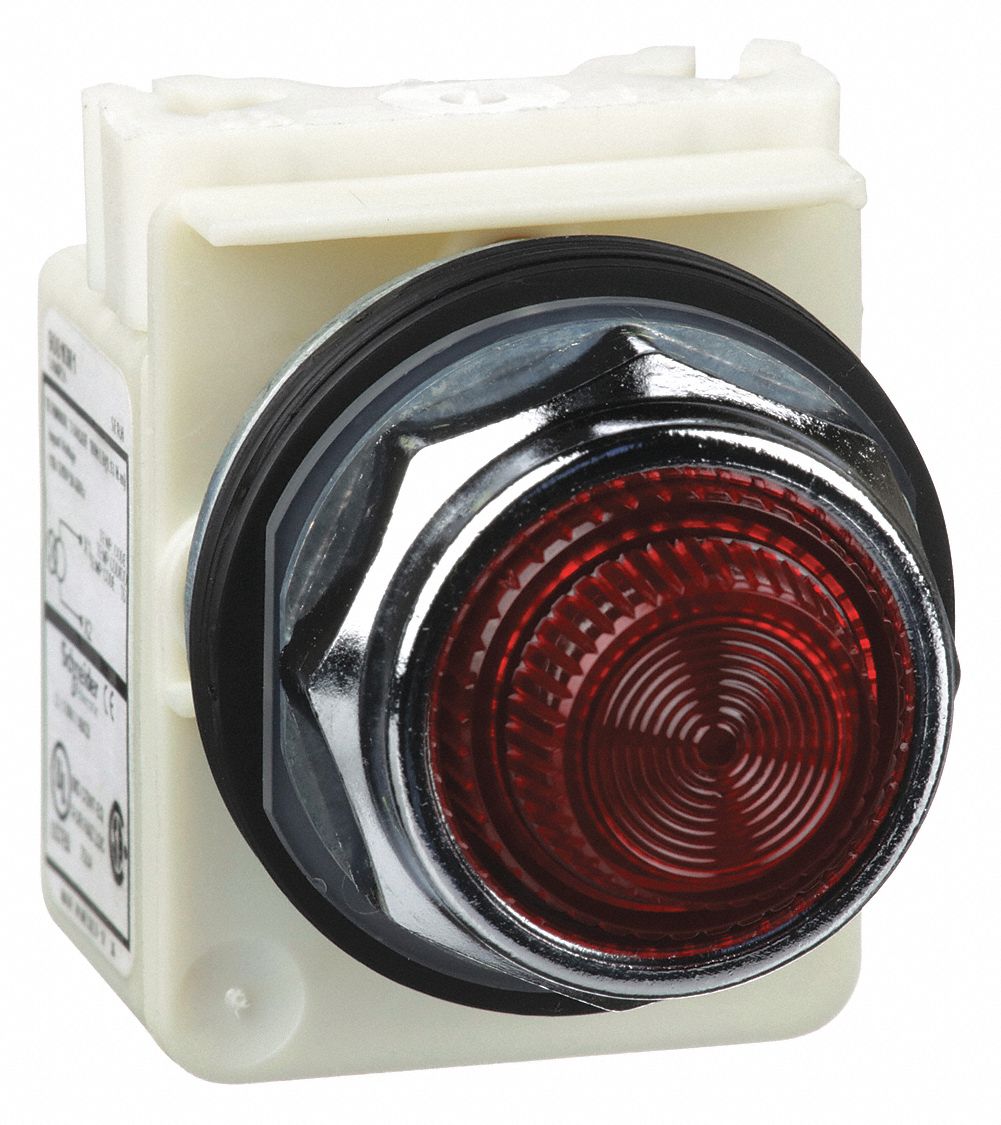 SCHNEIDER ELECTRIC Pilot Light Complete, 30 mm, 120V AC Voltage, Lamp