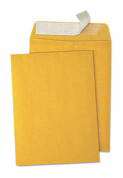 Catalog Envelopes: #10-1/2 Envelope Size, Kraft, Top, Brown, 100 PK