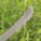 Product Image #4